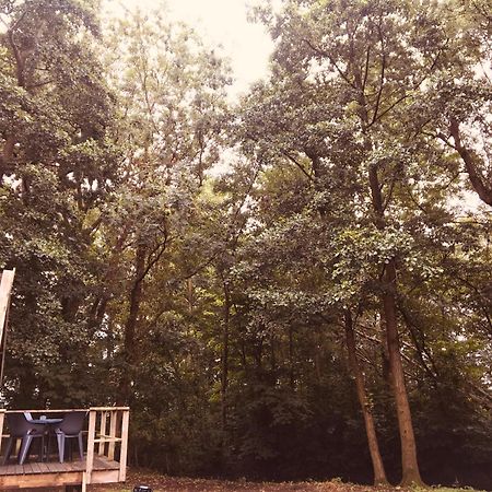 Basic Lodge In Nature Schagerbrug Exterior foto