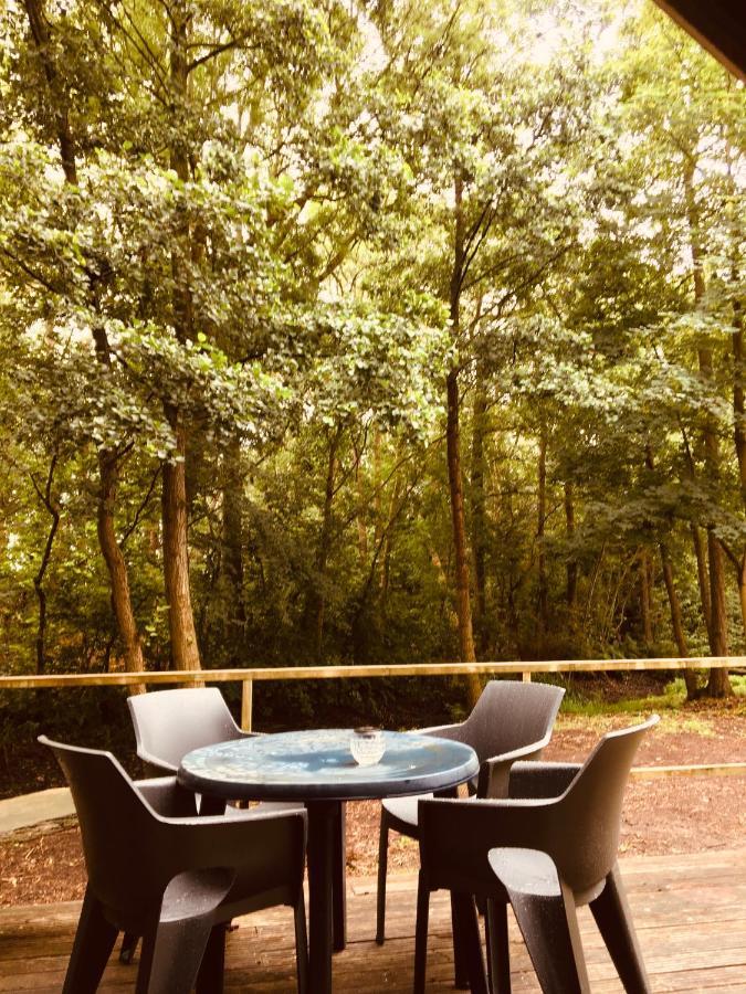 Basic Lodge In Nature Schagerbrug Exterior foto
