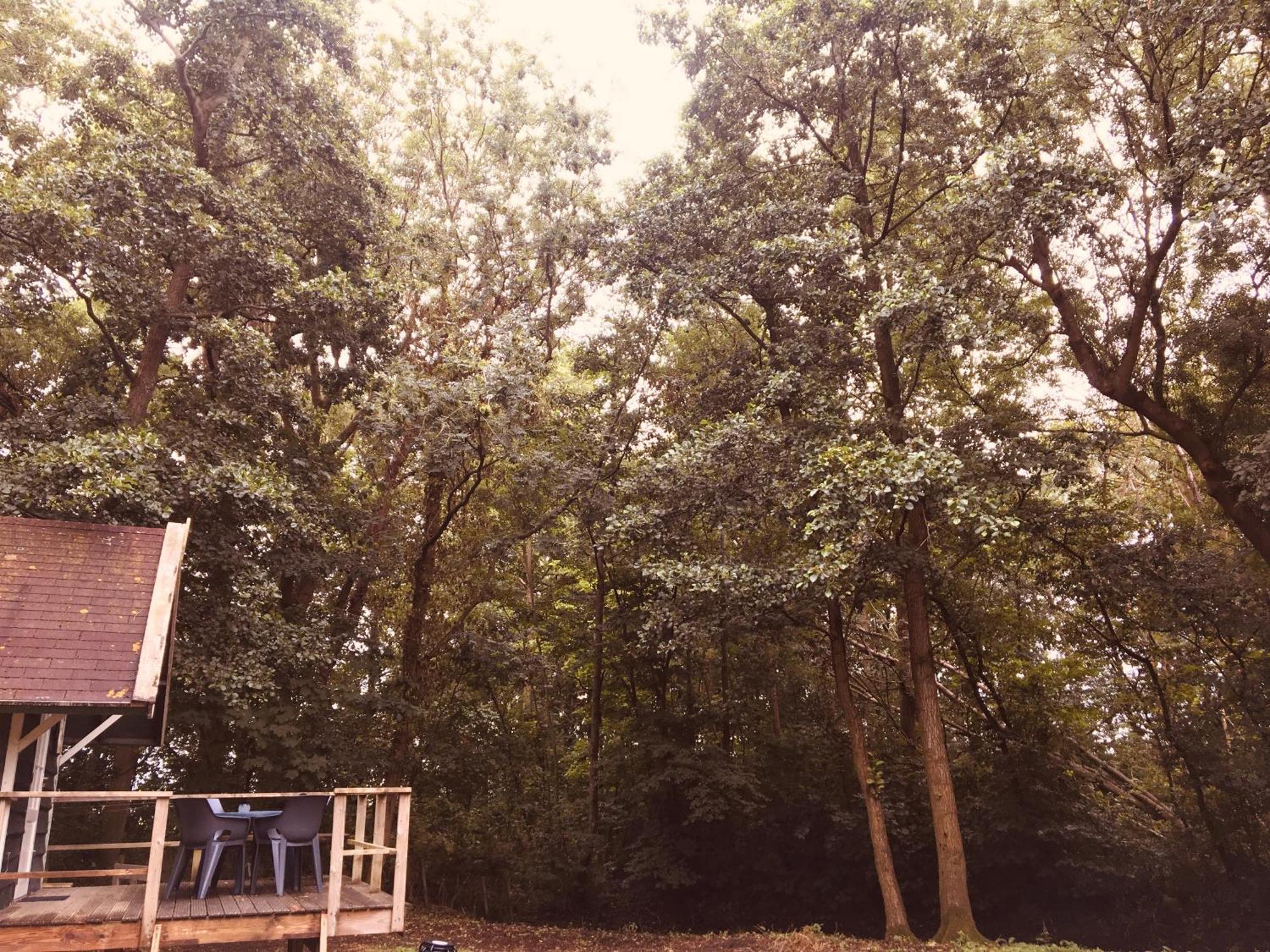 Basic Lodge In Nature Schagerbrug Exterior foto